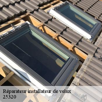 Réparateur installateur de velux