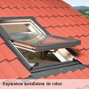 Réparateur installateur de velux